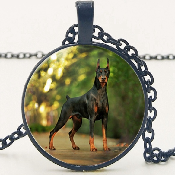doberman neck chain